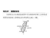 中圖版初中七年級地理下冊第七章認(rèn)識中國的區(qū)域第六節(jié)第一課時(shí)祖國的寶島與祖國大陸一脈相承的中華文化課件