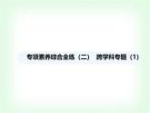 中圖版初中七年級地理下冊專項素養(yǎng)綜合練(二)跨學科專題課件