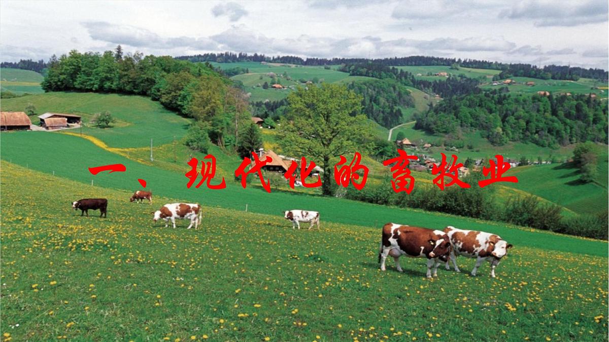 初中  地理  人教版（2024）  七年级下册(2024)  第九章第二节 欧洲西部 课件第3页