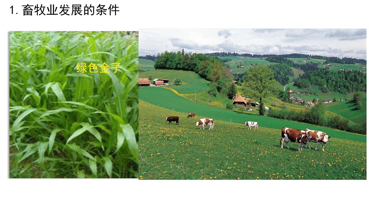 初中  地理  人教版（2024）  七年级下册(2024)  第九章第二节 欧洲西部 课件第4页