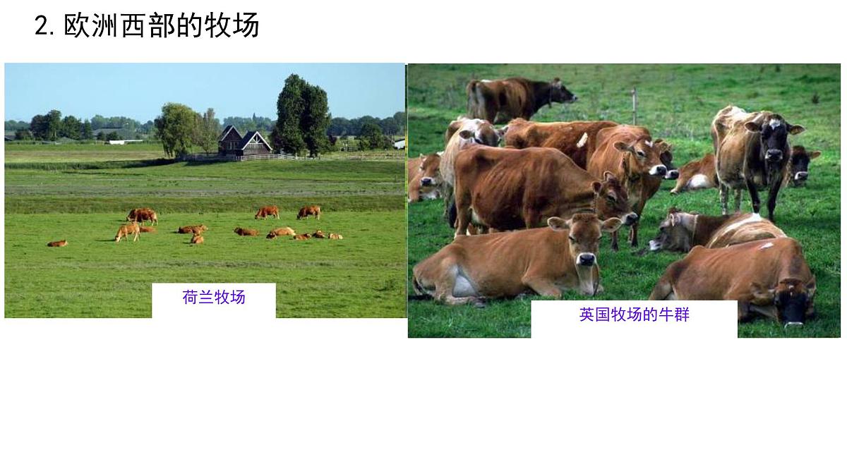 初中  地理  人教版（2024）  七年级下册(2024)  第九章第二节 欧洲西部 课件第5页