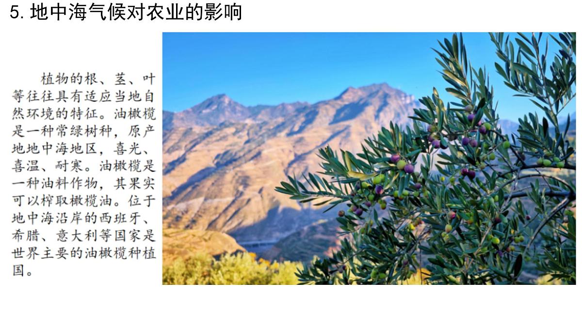 初中  地理  人教版（2024）  七年级下册(2024)  第九章第二节 欧洲西部 课件第8页