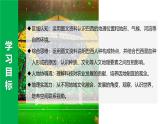 10.2.1巴西【課件+教學(xué)設(shè)計(jì)】（第1課時(shí)——混血種人為主的國家+經(jīng)濟(jì)發(fā)展）——2025新教材人教版初一地理下冊