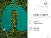 10.2.2巴西【課件+教學(xué)設(shè)計(jì)】（第2課時(shí)——雨林的開發(fā)與保護(hù)）——2025新教材人教版初一地理下冊