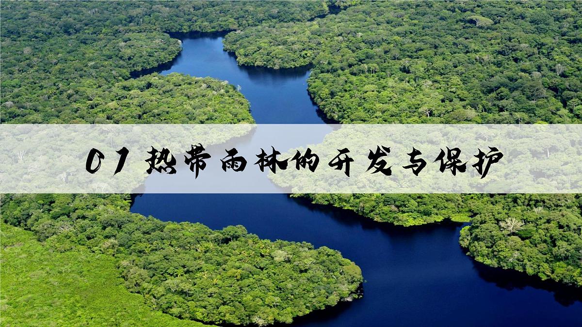 10.2.2巴西【课件】（第2课时——雨林的开发与保护）——2025新教材人教版初一地理下册第5页