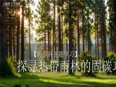 跨學(xué)科主體學(xué)習(xí)——探尋熱帶雨林的固碳功能【課件+教學(xué)設(shè)計(jì)】——2025新教材人教版初一地理下冊