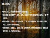 跨學(xué)科主體學(xué)習(xí)——探尋熱帶雨林的固碳功能【課件+教學(xué)設(shè)計(jì)】——2025新教材人教版初一地理下冊