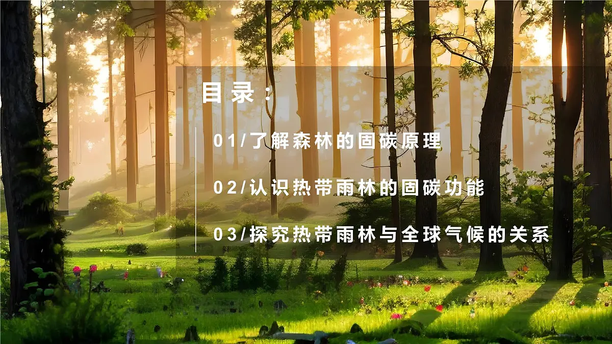 跨学科主体学习——探寻热带雨林的固碳功能【课件】——2025新教材人教版初一地理下册第4页