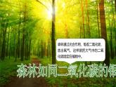 跨學(xué)科主體學(xué)習(xí)——探尋熱帶雨林的固碳功能【課件+教學(xué)設(shè)計(jì)】——2025新教材人教版初一地理下冊