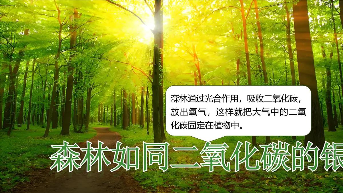 跨学科主体学习——探寻热带雨林的固碳功能【课件】——2025新教材人教版初一地理下册第5页