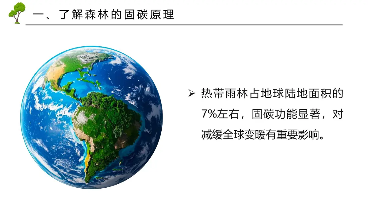 跨学科主体学习——探寻热带雨林的固碳功能【课件】——2025新教材人教版初一地理下册第6页