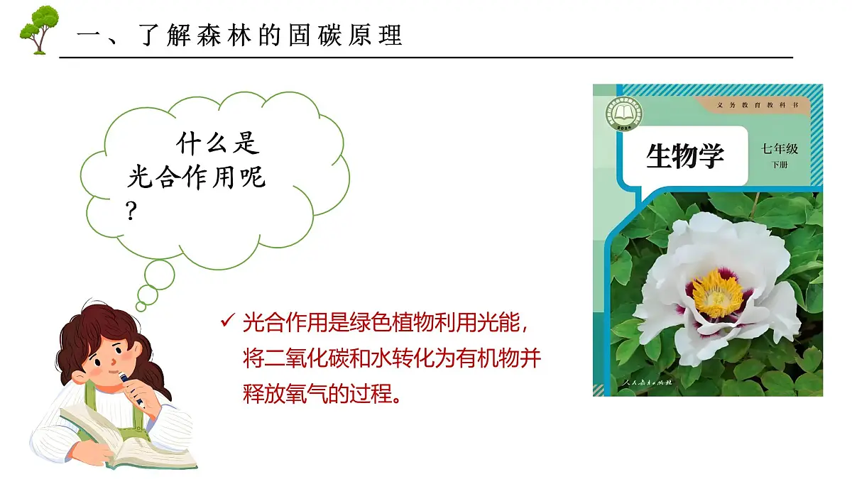 跨学科主体学习——探寻热带雨林的固碳功能【课件】——2025新教材人教版初一地理下册第7页