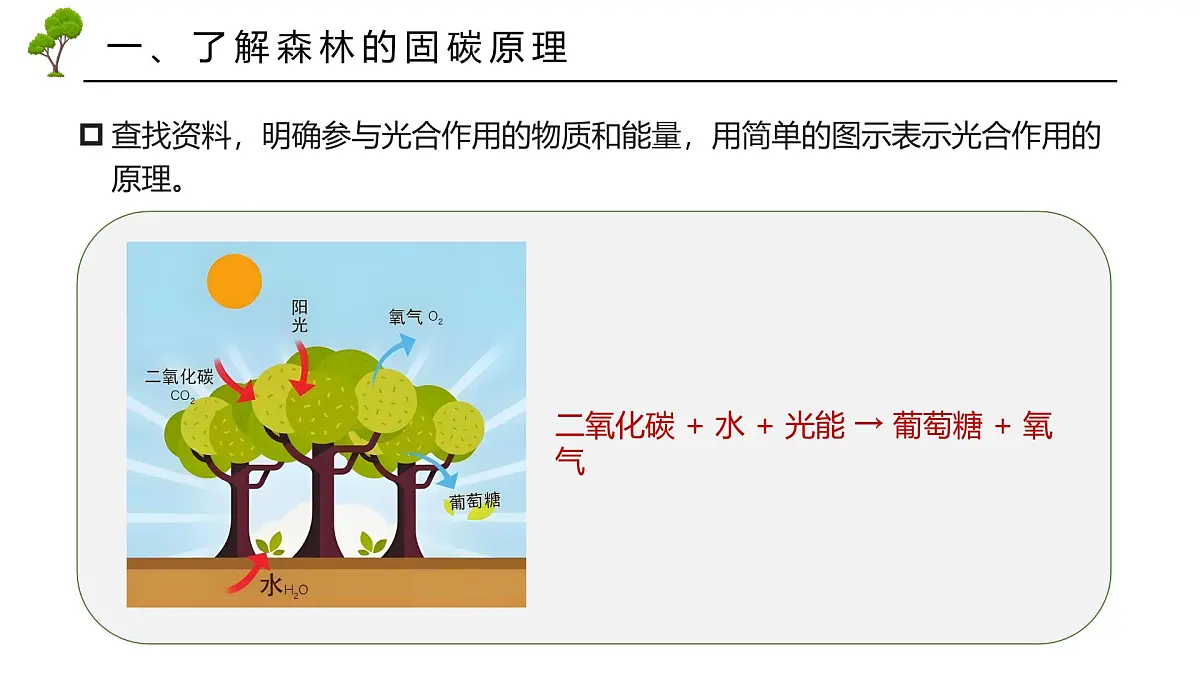 跨学科主体学习——探寻热带雨林的固碳功能【课件】——2025新教材人教版初一地理下册第8页