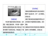 粵人民版七年級地理下冊第六單元第二節(jié)第二課時富饒的物產(chǎn),旖旎的風(fēng)光課件