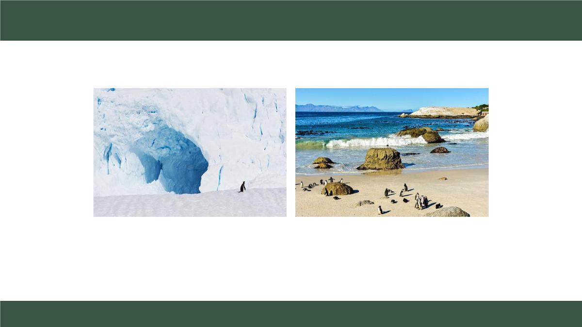 新人教版地理七上 4-2《气温的变化与分布》课件（第1课时）第3页