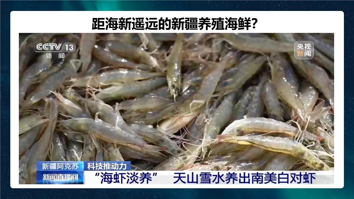 新人教版地理七上 开学第一课课件第7页
