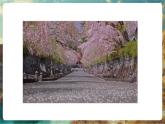 【新教材核心素養(yǎng)】商務(wù)星球版地理七年級下冊8.1.1 日本（第1課時）（課件）