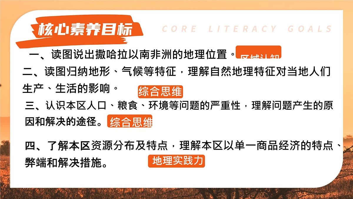 初中地理人教版（2024）七年级下册9.3 撒哈拉以南非洲 课件第2页