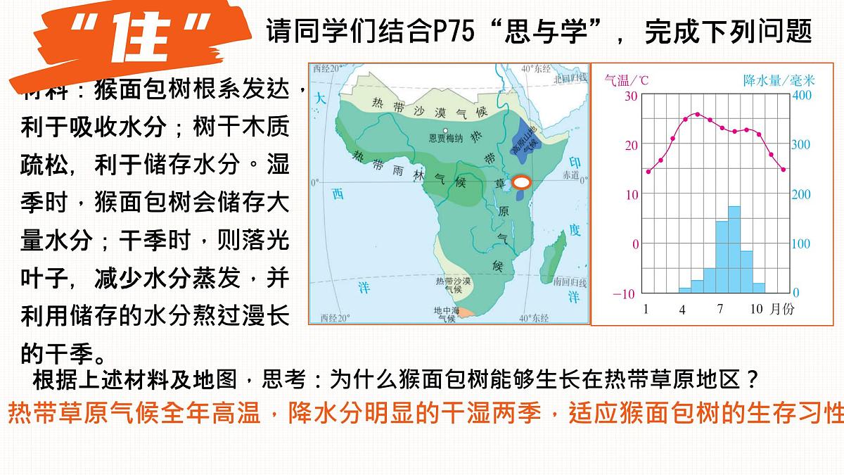 初中地理人教版（2024）七年级下册9.3 撒哈拉以南非洲 课件第8页