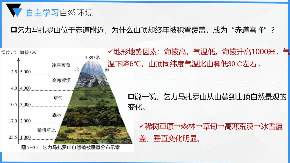 初中地理人教版（2024）七年级下册9.3 撒哈拉以南非洲 课件第8页