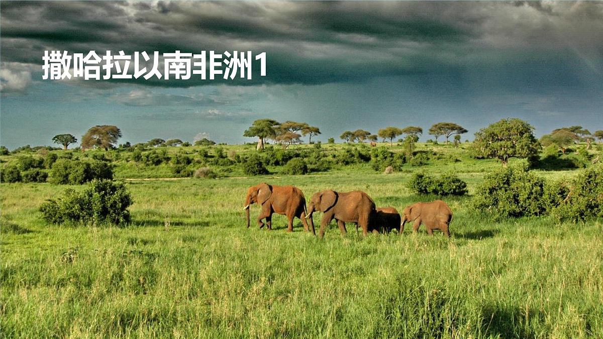 初中地理人教版（2024）七年级下册9.3 撒哈拉以南非洲1 课件第1页
