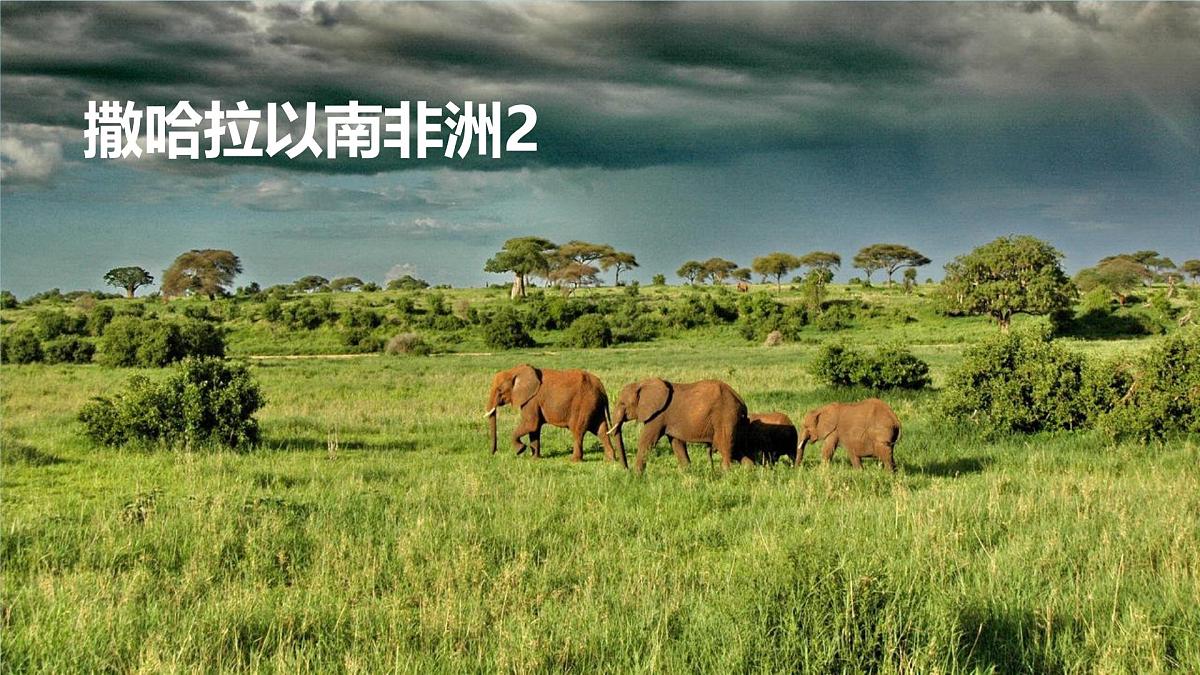初中地理人教版（2024）七年级下册9.3 撒哈拉以南非洲2 课件第1页