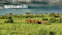 人教版（2024）七年级下册(2024)撒哈拉以南非洲教学ppt课件