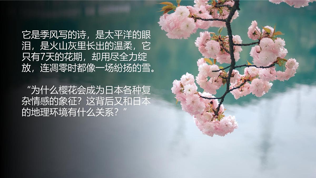 9.1日本 课件 2025学年七年级地理下学期湘教版(2024)第2页