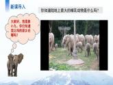 7.4 撒哈拉以南非洲（第一課時(shí)）課件 地理商務(wù)星球版（2024）七年級(jí)下冊(cè)第七章