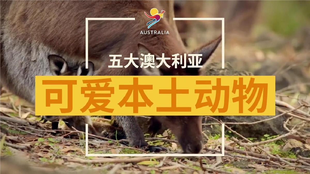 2024—2025学年下学期七年级地理下册人教版9.4 第四节 澳大利亚（课时2）PPT第1页