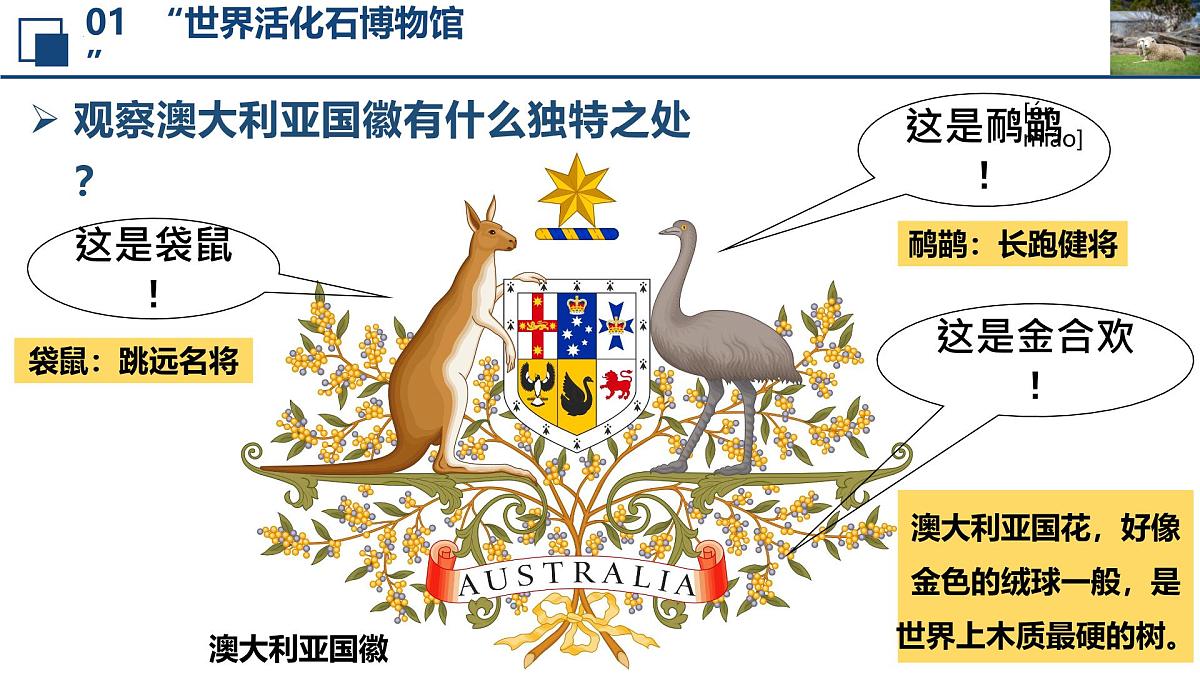 2024—2025学年下学期七年级地理下册人教版9.4 第四节 澳大利亚（课时2）PPT第5页