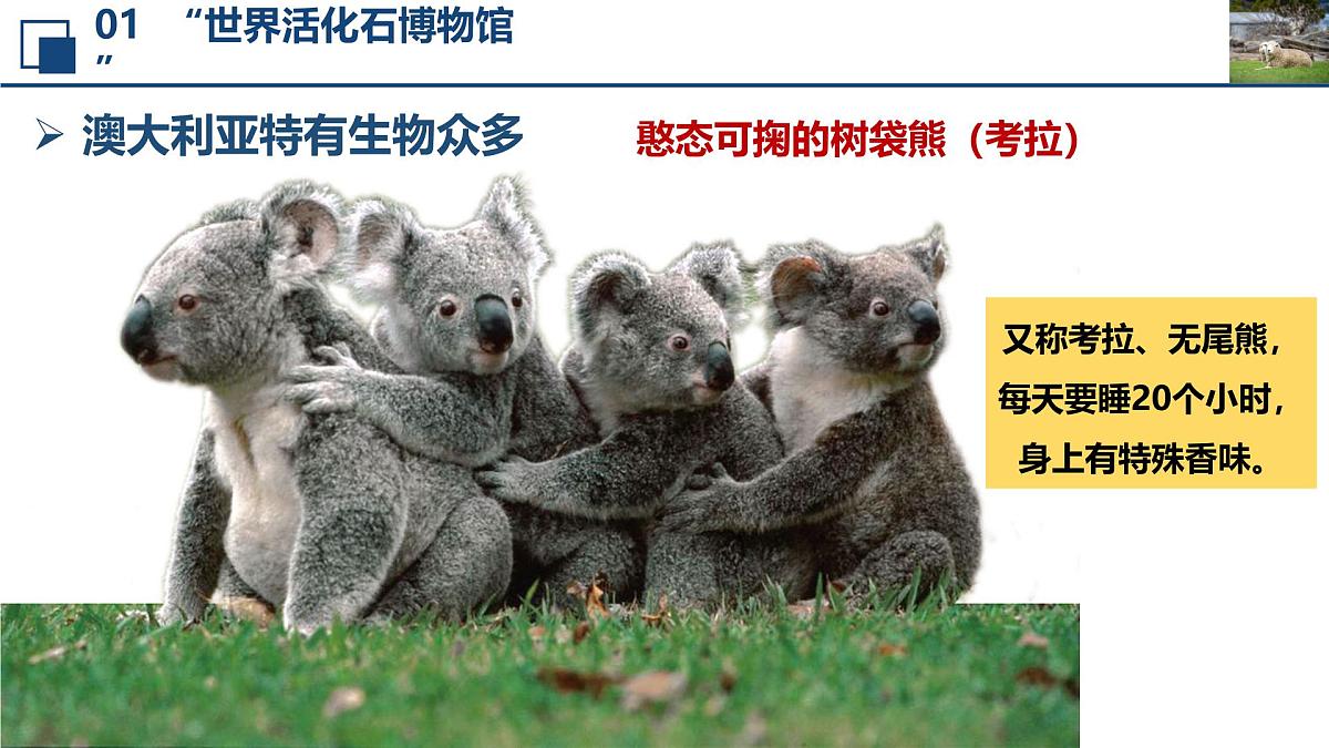 2024—2025学年下学期七年级地理下册人教版9.4 第四节 澳大利亚（课时2）PPT第6页