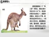初中地理湘教版（2024）七年級下冊9.6 澳大利亞 課件