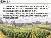 初中地理湘教版（2024）七年級下冊9.4 法國 課件