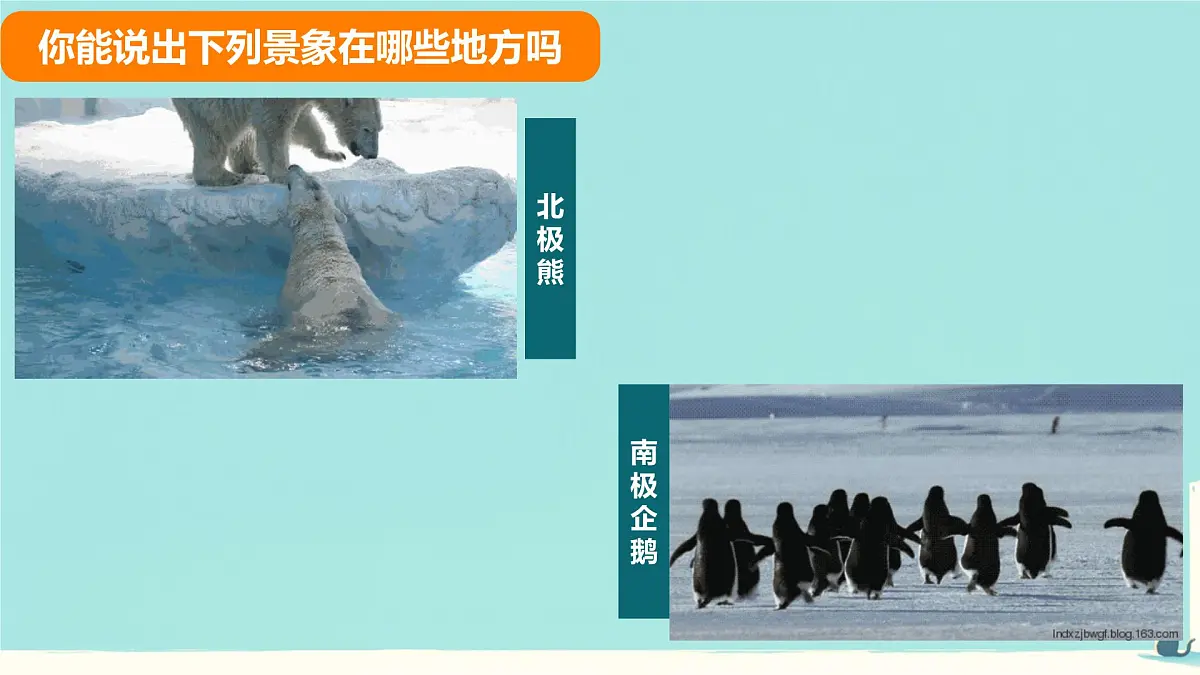 初中地理商务星球版（2024）七年级下册7.5 南极地区和北极地区 课件第1页