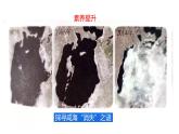 初中地理商務(wù)星球版（2024）七年級(jí)下冊(cè)（2024）第七章素養(yǎng)提升 探尋咸?！跋А敝i 課件
