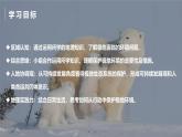 探究與實(shí)踐——保護(hù)極地環(huán)境【課件+教學(xué)設(shè)計(jì)】——2025新教材湘教版初一地理下冊(cè)