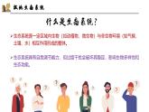 探究與實(shí)踐——保護(hù)極地環(huán)境【課件+教學(xué)設(shè)計(jì)】——2025新教材湘教版初一地理下冊(cè)