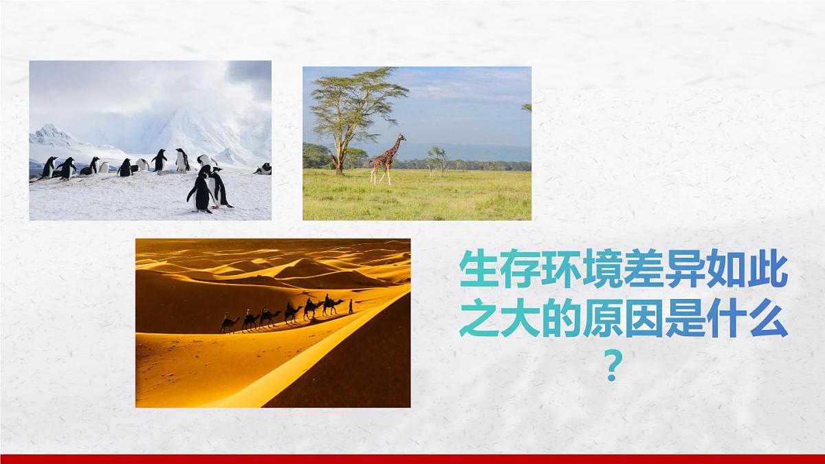 4.4 世界的气候 第2课时 课件 人教版（2024）七年级上册地理 (1)第3页