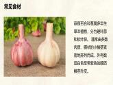 【跨學(xué)科主題學(xué)習(xí)】探索外來食料作物傳播史課件人教版（2024）七年級(jí)上冊(cè)地理