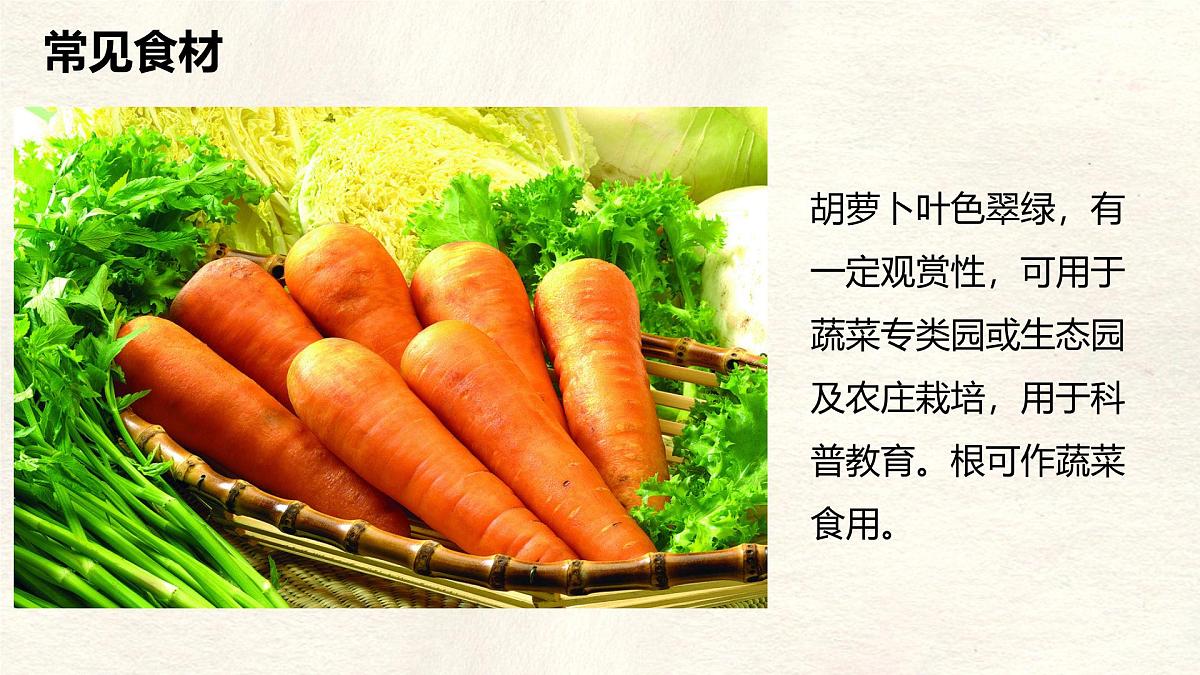 【跨学科主题学习】探索外来食料作物传播史课件人教版（2024）七年级上册地理第4页
