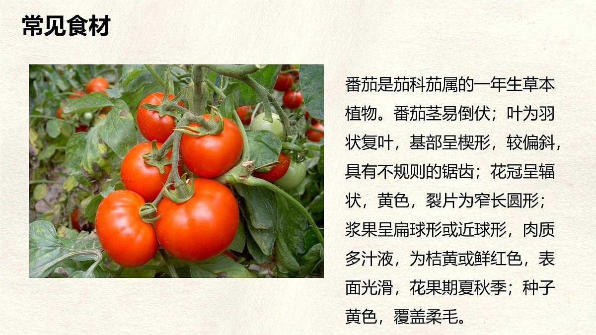 【跨学科主题学习】探索外来食料作物传播史课件人教版（2024）七年级上册地理第5页