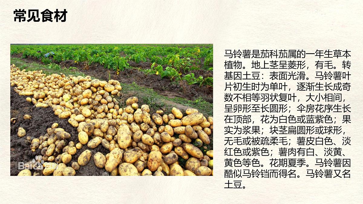 【跨学科主题学习】探索外来食料作物传播史课件人教版（2024）七年级上册地理第7页