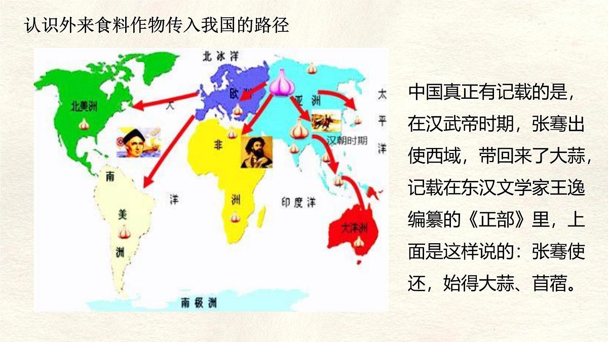 【跨学科主题学习】探索外来食料作物传播史课件人教版（2024）七年级上册地理第8页