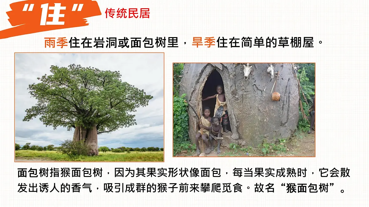 9.3 撒哈拉以南非洲 课件 2025学年人教版地理七年级下册第8页