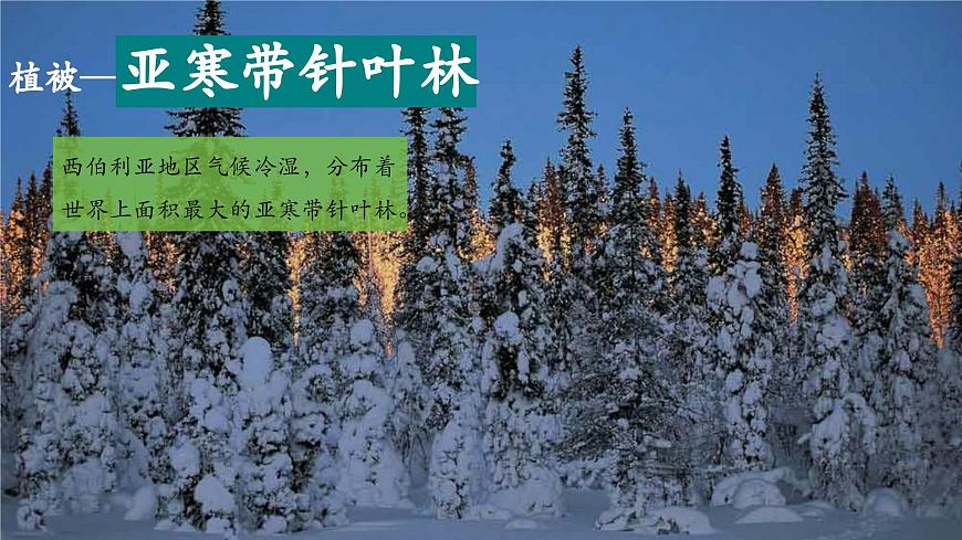 【新教材核心素养】商务星球版地理七年级下册8.3.2 俄罗斯（课时2）（课件）第6页