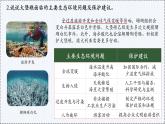 9.1 澳大利亞（第1課時） - 初中七年級地理下冊 同步教學(xué)課件+教學(xué)設(shè)計（粵教粵人版2024）