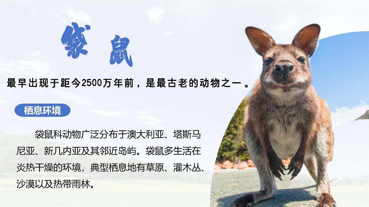 9.4 澳大利亚 第一课时 课件-2024-2025学年七年级地理下学期人教版（2024）第2页