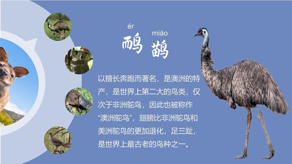9.4 澳大利亚 第一课时 课件-2024-2025学年七年级地理下学期人教版（2024）第7页