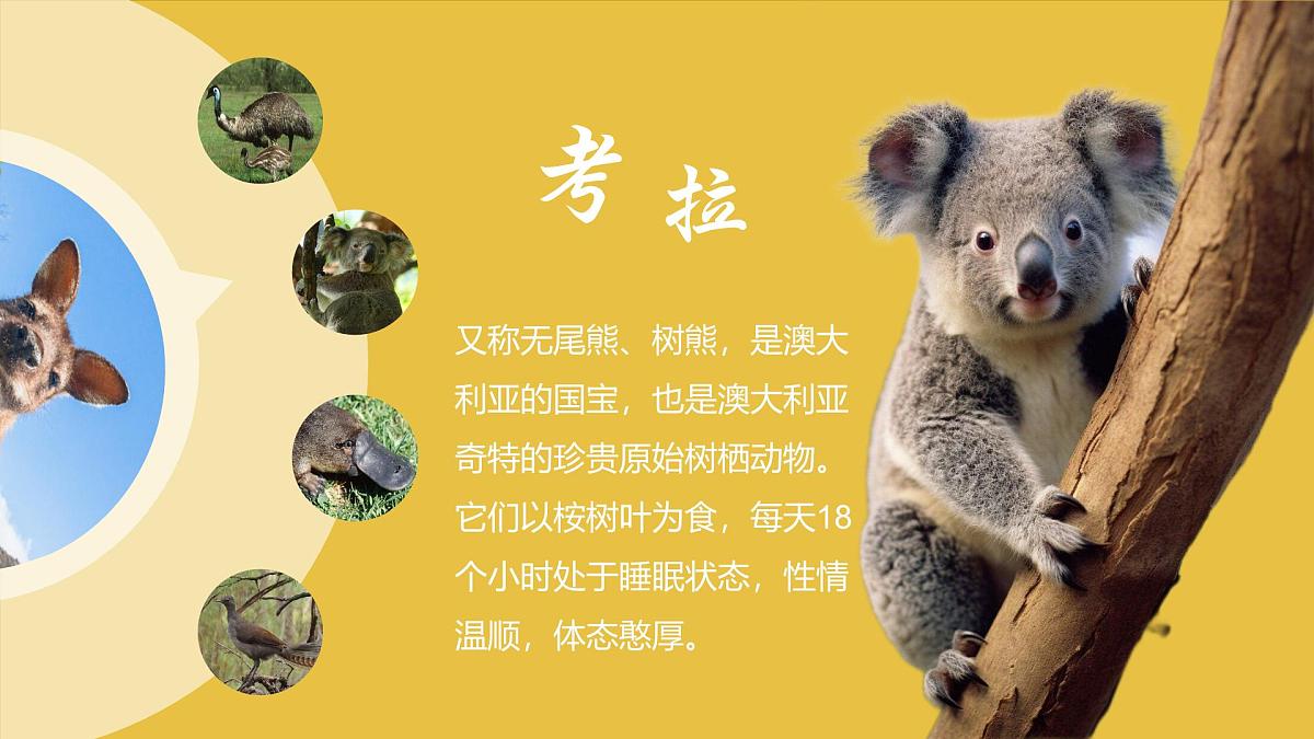 9.4 澳大利亚 第一课时 课件-2024-2025学年七年级地理下学期人教版（2024）第8页
